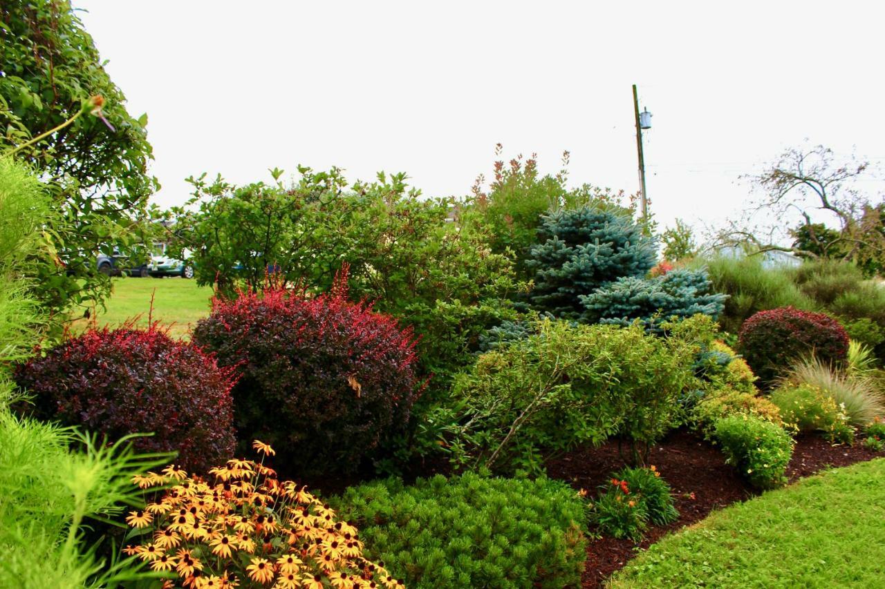 Evangeline Inn & Motel Grand pré Kültér fotó